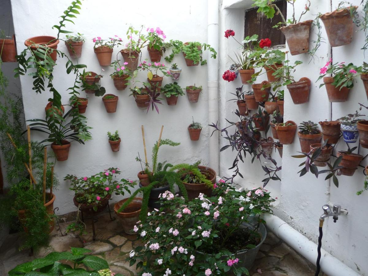Casa Sol Villa Vejer de la Frontera Exterior photo